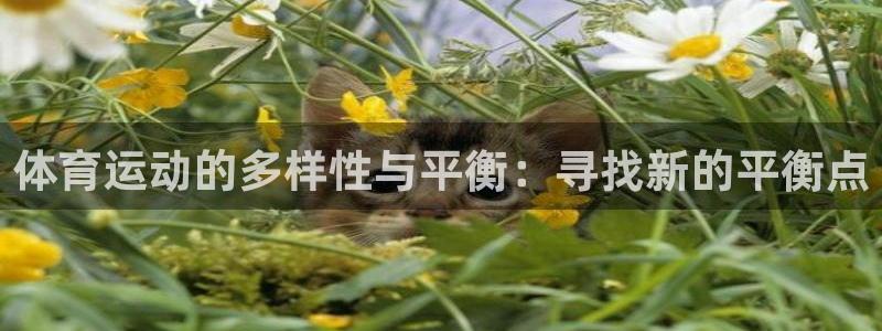 vsport体育官网下载开户：体育运动的多样性与平衡