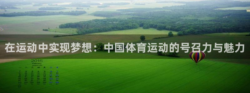 vsport体育官方正版app集团logo：在运动中