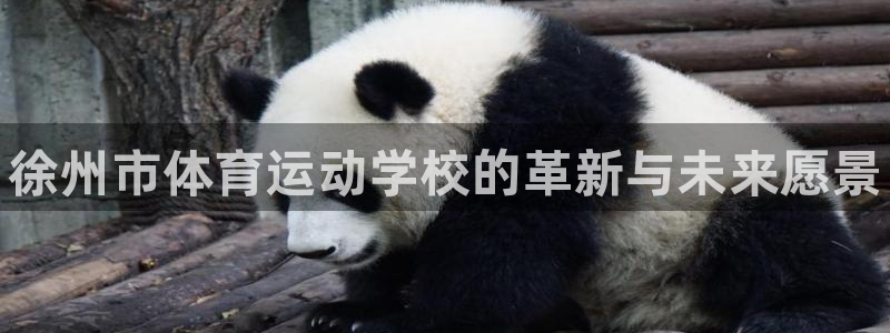 vsport体育官网下载招商电话是多少啊：徐州市体育