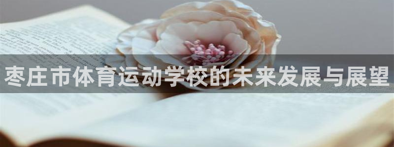 vsport体育官网下载平台：枣庄市体育运动学校的未
