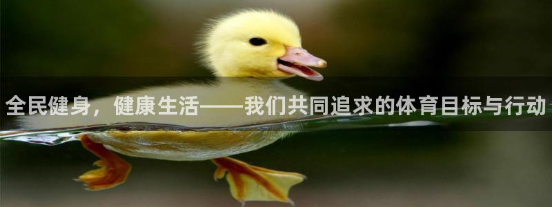 vsport体育官网下载招商电话号码查询是多少：全民