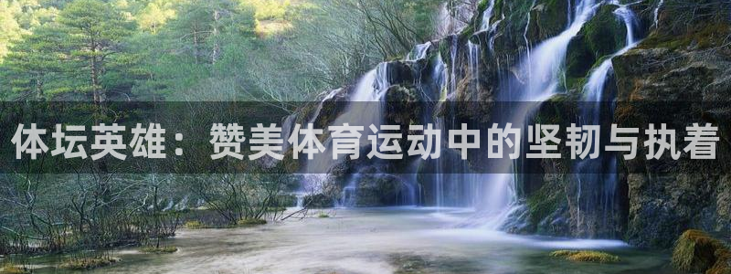 海南vsport体育官网下载：体坛英雄：赞美体育运动中的坚韧