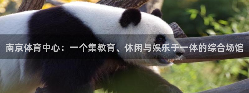 vsport体育官网下载平台APP：南京体育中心：一