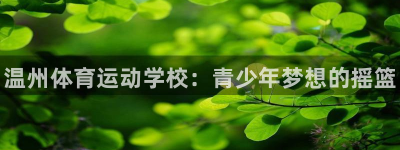 vsport体育官方正版app集团logo：温州体育运动学校