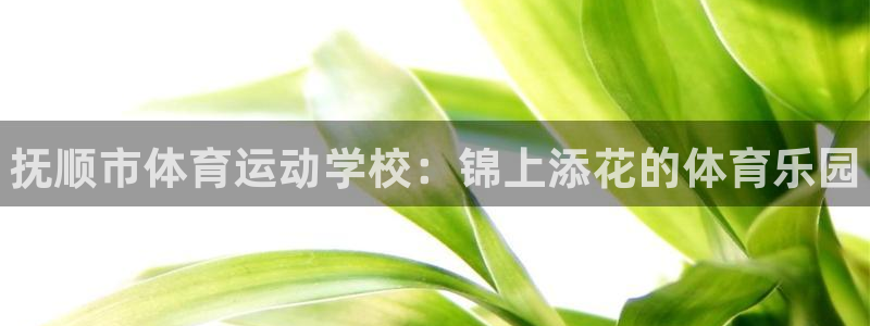 vsport体育官网下载平台注册要钱吗是真的吗：抚顺市体育运
