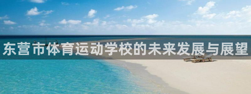 vsport体育官方正版app开户：东营市体育运动学