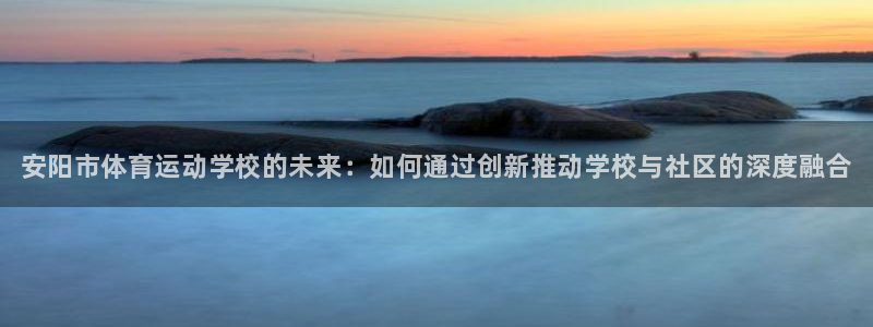 德国vsport体育官方正版app集团：安阳市体育运动学校的