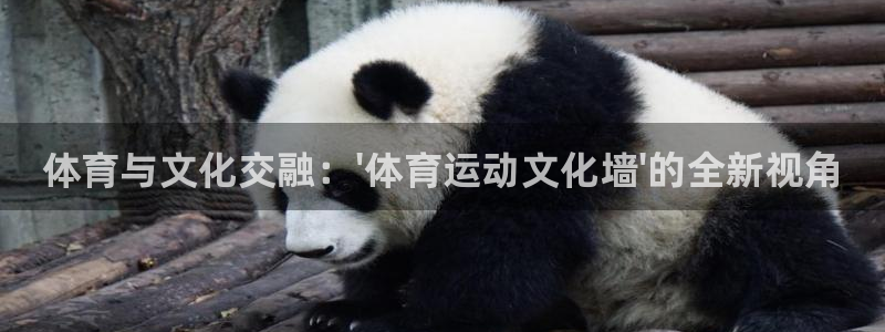 海南vsport体育官网下载发展怎么样：体育与文化交融：\'