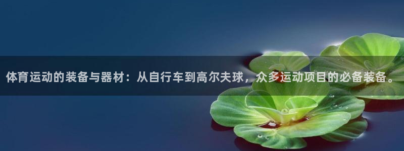 vsport体育官方正版app官方：体育运动的装备与器材：从