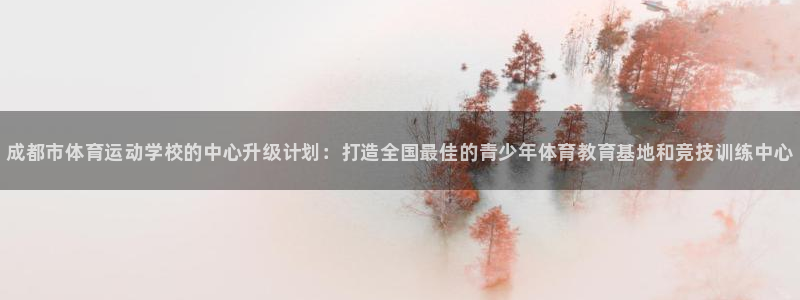 vsport体育官网下载平台APP：成都市体育运动学校的中心