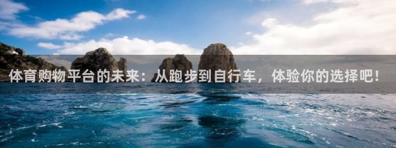 vsport体育官方正版app开户：体育购物平台的未来：从跑