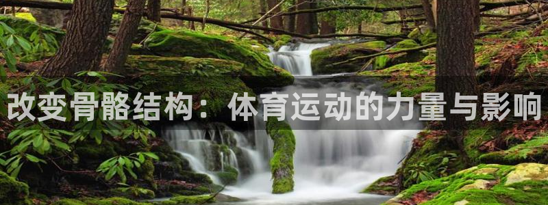 vsport体育官网下载平台注册流程图：改变骨骼结构