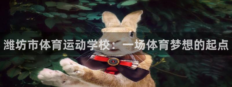 vsport体育官网下载平台是正规平台吗安全吗：潍坊市体育运