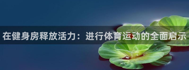 vsport体育官方正版app娱乐