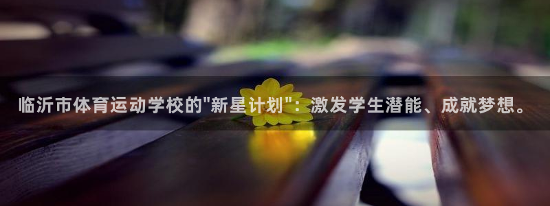 vsport体育官网下载是干嘛的公司：临沂市体育运动学校的\