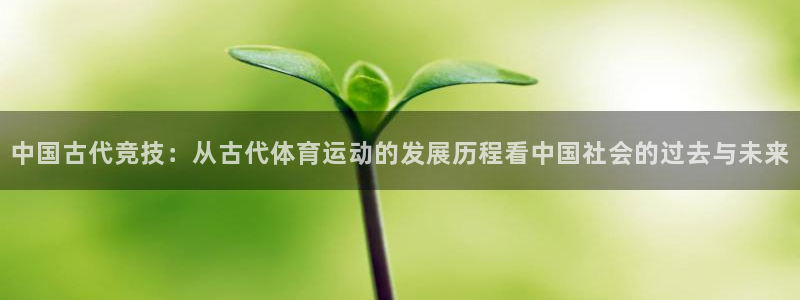 vsport体育官方正版app官网