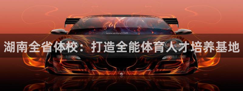 vsport体育官方正版app神州：湖南全省体校：打