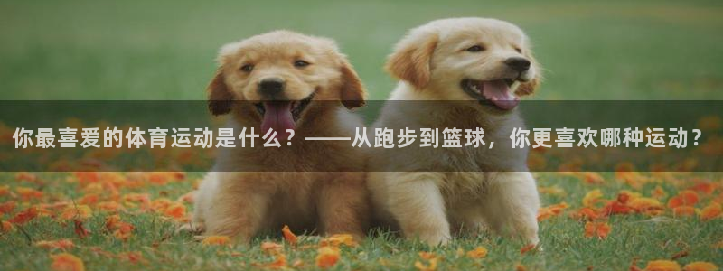 vsport体育官方正版app娱乐网站：你最喜爱的体
