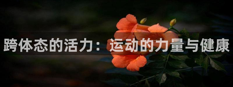 vsport体育官网下载招商电话号码：跨体态的活力：