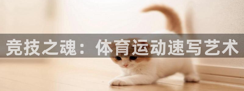 vsport体育官网下载招商电话号码是多少号：竞技之