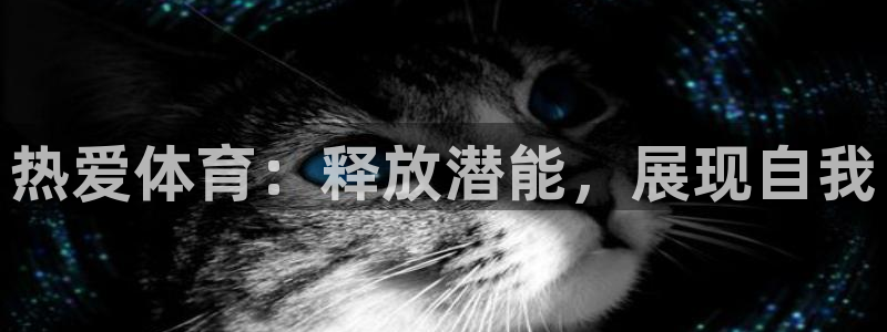vsport体育官方正版app娱乐下载