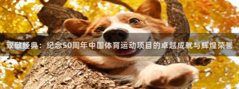 vsport体育官网下载官方客服电话:致敬经典:纪念50周年