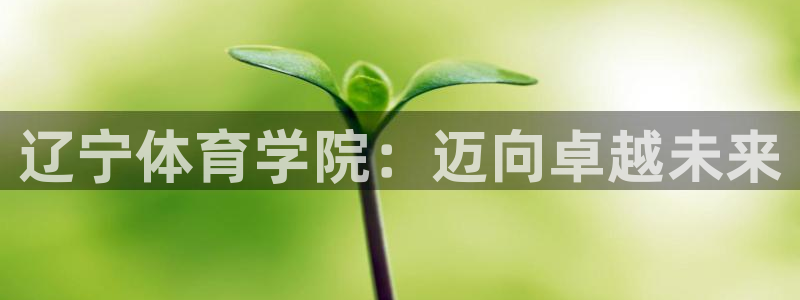 vsport体育官网下载招商电话是多少