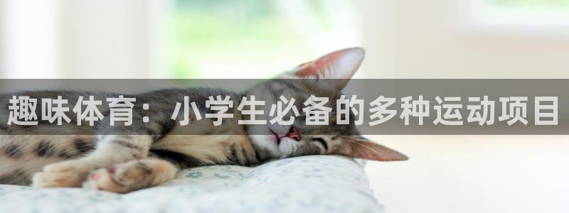 vsport体育官网下载是干嘛的公司