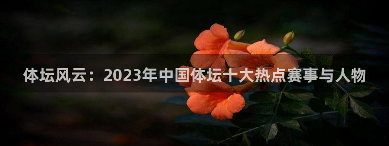 vsport体育官网下载平台APP：体坛风云：2023年中国