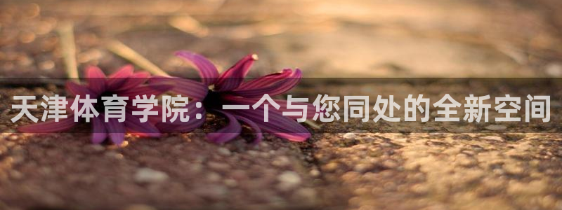 vsport体育官方正版app集团：天津体育学院：一个与您同