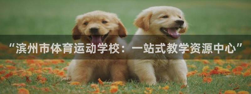 vsport体育官网下载平台假的吗是真的吗：“滨州市体育运动