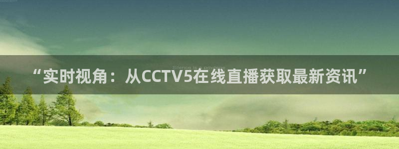 龙门飞甲哪个平台可以看