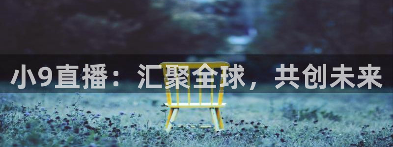 龙门体育频道在线直播