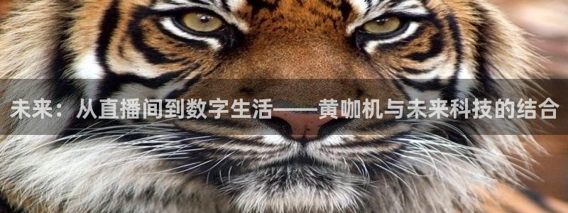 龙门直播免费下载入口