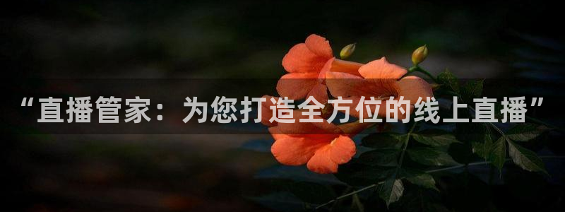 龙门直播免费体育直播
