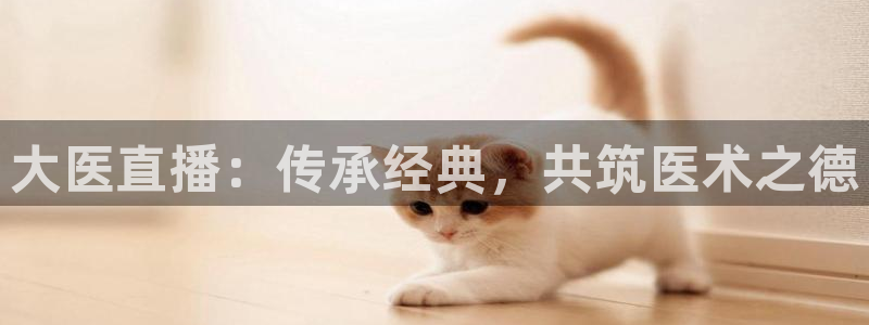 龙门免费直播