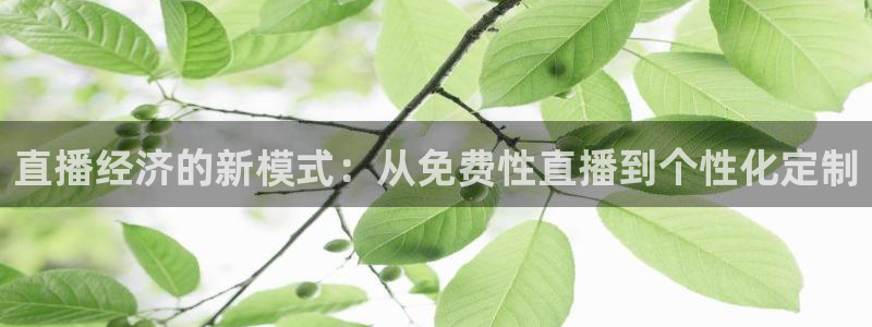 龙门镖局超清在线观看