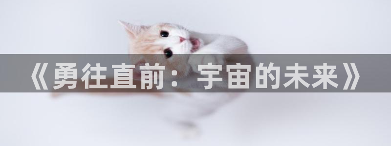 龙门直播免费下载入口：《勇往直前：宇宙的未来》