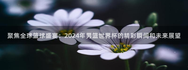 龙门直播下载：聚焦全球篮球盛宴：2024年男篮世界杯的精彩瞬间和未来展望