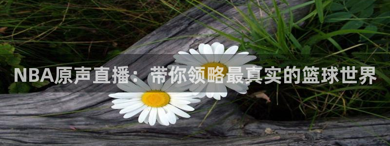 龙门体育直播