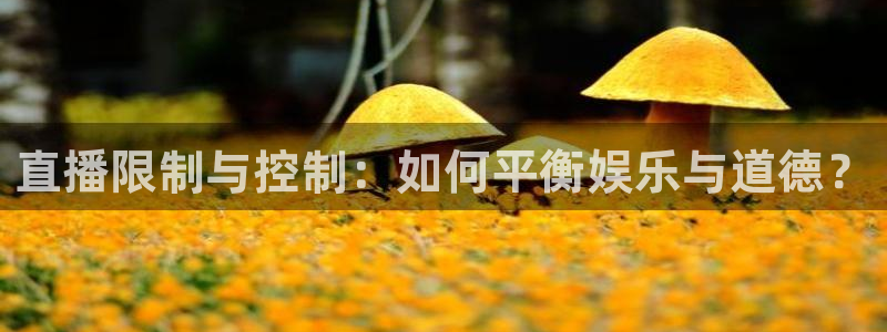 nba直播免费观看直播在线龙门：直播限制与控制：如何平衡娱乐与道德？