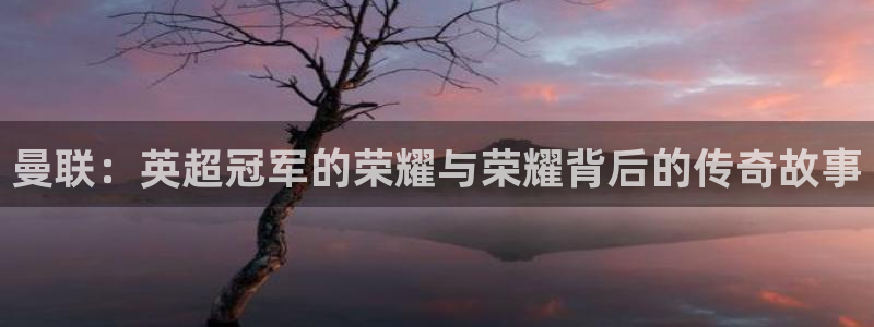 龙门体育直播：曼联：英超冠军的荣耀与荣耀背后的传奇故事